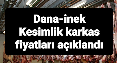 Düve İnek karkas kesimlik fiyatları