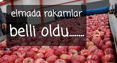 Hasat başlarken rakamlar açıklandı..