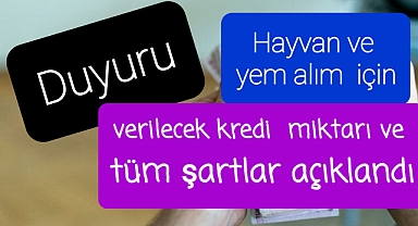 Hayvan ve yem alımı için verilecek kredi miktarı açıklandı