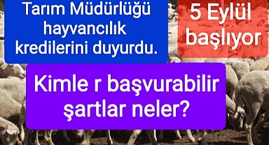 Hayvancılık kredisi başvuruları başlıyor