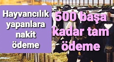 hayvancılık yapanlara nakit ödeme