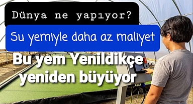 Hayvanlar yedikçe bitki kendisini yeniliyor