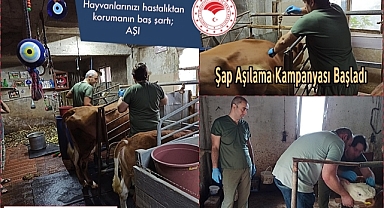 Hayvanlarda şap aşılama kampanyası başladı mı?