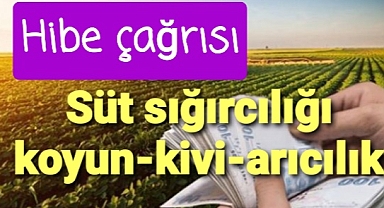 Hibe çagŕısı