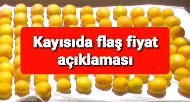 Kayısı fiyatıyla ilgili flaş açıklama