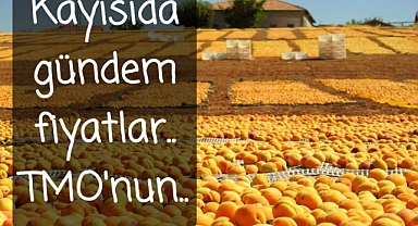 kayısıda gündem fiyatlar.. TMO'nun