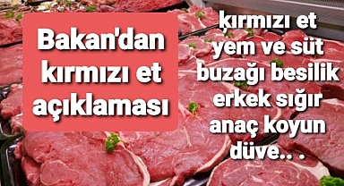kırmızı et, süt ve yem piyasasının gerek üretim ve gerekse piyasaya arz boyutu Bakanlığımızca yakından takip edilmektedir
