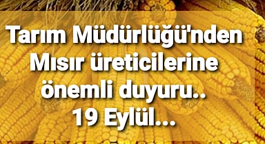 Mısır üreticilerine önemli duyuru. 19 Eylül'de başlıyor