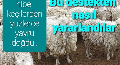 onlar bu destekten nasıl yararlandı