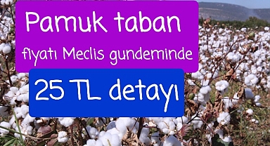 Pamuk fiyatı Meclis gündeminde..