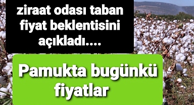 Pamuk fiyatlarında Taban fiyat beklenirken son durum ne?
