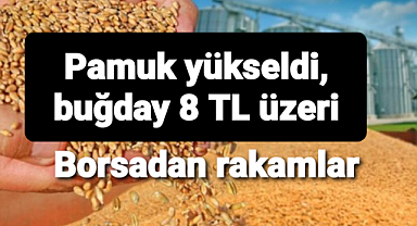 Pamuk ve buğdayın borsada satış fiyatı