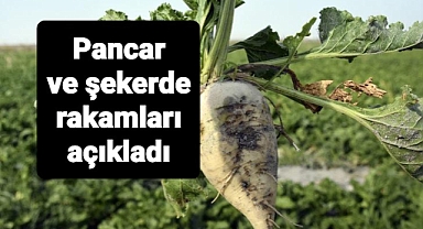 Rakamlarla şeker açıklaması...
