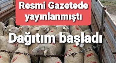 Resmi Gazete'de yayınlanmıştı dağıtımlar başladoı