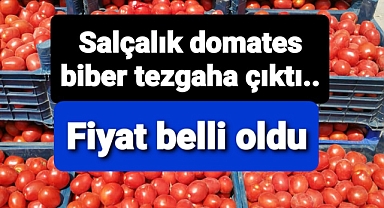 Salçalık domates biber fiyatları belli oldu..