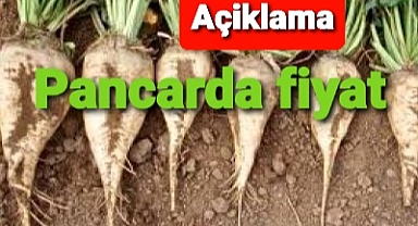 Şeker pancarında fiyat beklentisi