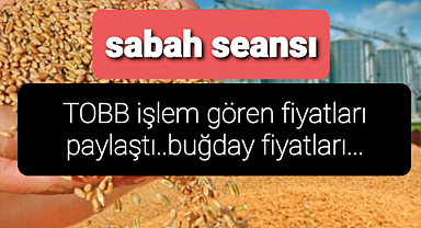 Son buğday fiyatları