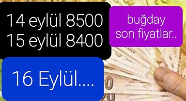 Son buğday fiyatları paylaşıldı