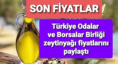 Son zeytinyağı fiyatları