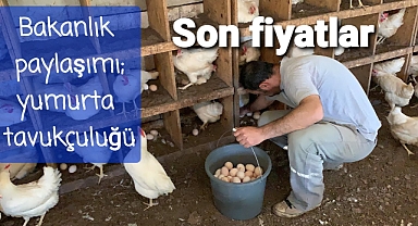 Sonj ymurta fiyatları..