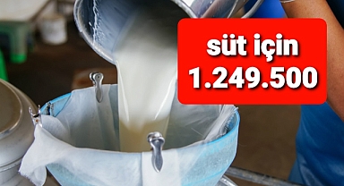 Süt için destek verildi..