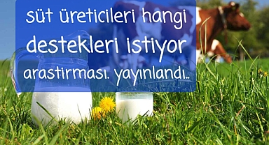 Süt sığırcılığında üreticiler prim mİ fiyat desteği mi, faizsiz kredi mi? hangi desteği istiyor