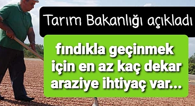 Tarım Bakanlığı açıkladı.. fındıkla geçinmek için en az kaç dekar araziye sahip olmak gerekiyor.