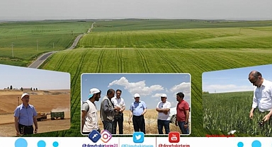 Tarım Müdürülüğü: artış var
