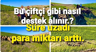 Tarım ve hayvancılık destekleri.. O destek aldı siz nasıl alabilirsiniz?
