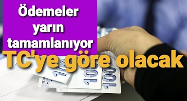 TC numaralarına göre destekleme ödemeleri yatırılacak