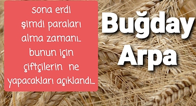 TMO Buğday Arpa alımı sona erdi şimdi para alma zamanıı...
