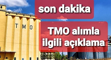TMO fındık ve kuru üzüm alımlarıyla ilgili açıklama yaptı