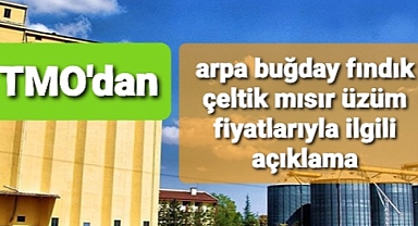 TMO Genel Müdürü Güldal^'dan fiyatlarla ilgili açıklama