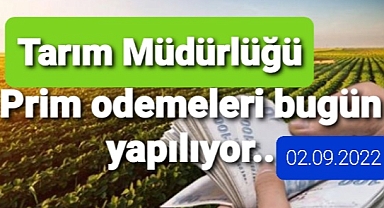 TMO prim ödemeleri yapılıyor