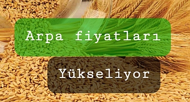 TOBB Borsalarında arpa fiyatları