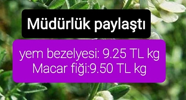 Yem bezelyesi macar fiği tohum desteği