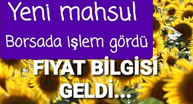 Yeni mahsul ayçiçek Borsada işlemde