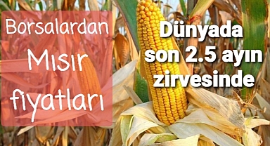 SON MISIR FİYATLARI