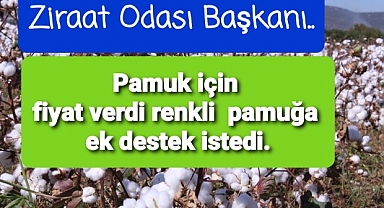 Ziraat Odaları pamuk için istedikleri fiyatı açıkladı