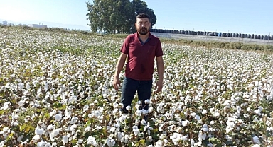 Ziraat Odasından pamuk fiyatı açıklaması!