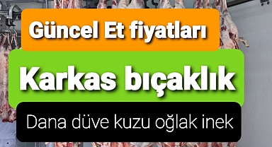 Güncel karkas bıçaklık dana düve inek kuzu oğlak..