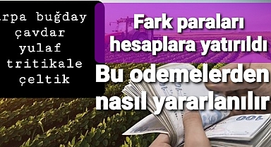 Arpa, buğday, çavdar, yulaf, tritikale ve çeltik için fark ödemesi yattı.. almayanlar ne yapacak