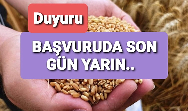 Ata Yadigarı Kırik Buğday Yetiştiriciliği Projesi çerçevesinde buğday tohum desteği başvurusu
