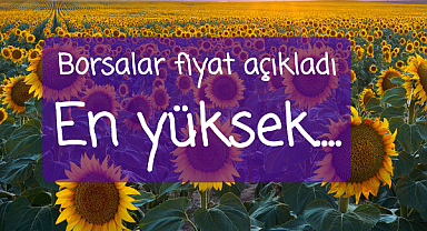 Ayçiçeği fiyatları borsalara göre farklılık gösteriyor. 