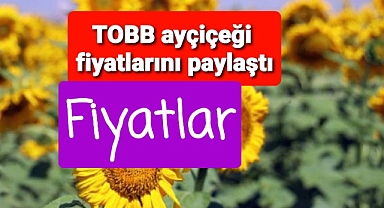 Ayçiçeğinde son fiyatlar açıklandı