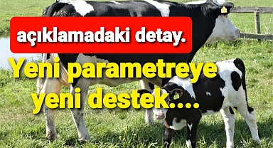 Buzağı desteğinde parametre ve destek artışı