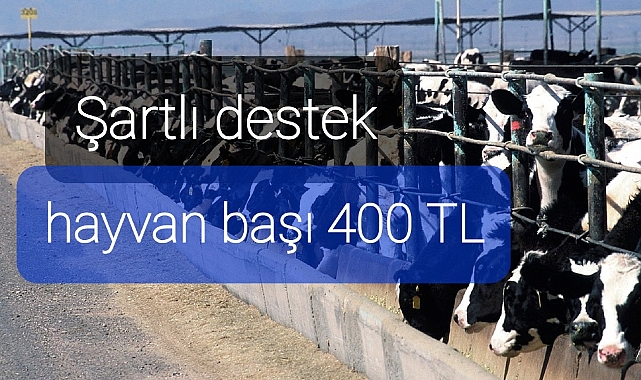hayvancılık yapanlara şartlı destek..