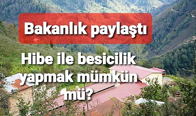 Devlet desteğiyle Kartal Yuvasında Sığır Besiciliği
