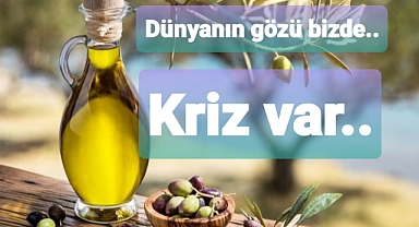 Dünya Türkiye'deki zeytinyağı üretim ve fiyatlara gözünü çevirdi
