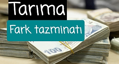 Gelir koruma sigortası Türkiye genelinde olacak..